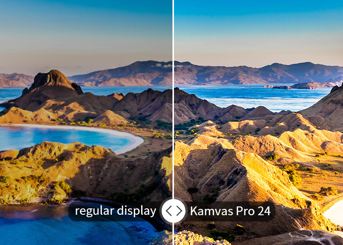 Kamvas Pro 24 Drawing Tablet with Screen & 2.5K Resolution | Huion